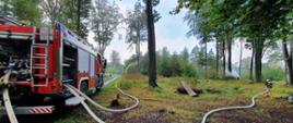 Na zdjęciu samochód pożarniczy w lesie oraz rozwinięte linie gaśnicze. Czterech ratowników podaje prądy gaśnicze w głąb lasu.