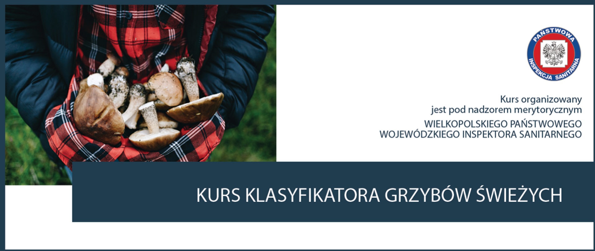 Kurs klasyfikatora grzybów świeżych