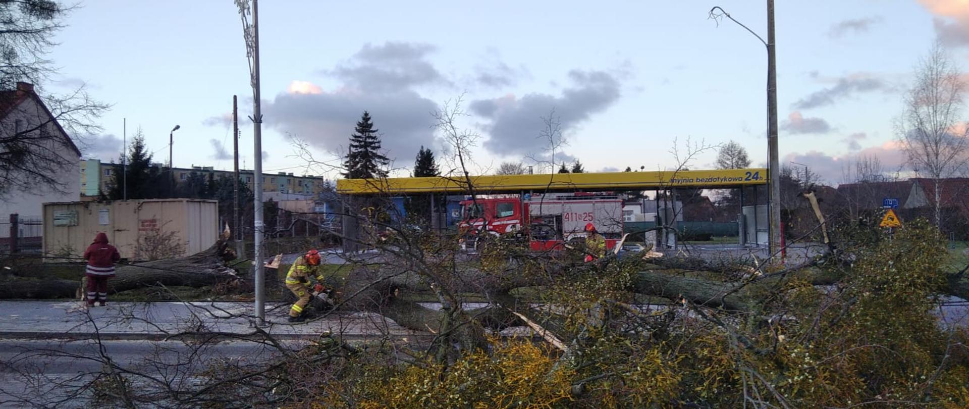 Durze drzewo leży na drodze. Strażacy tną konar na kawałki. W tle samochód strażacki.