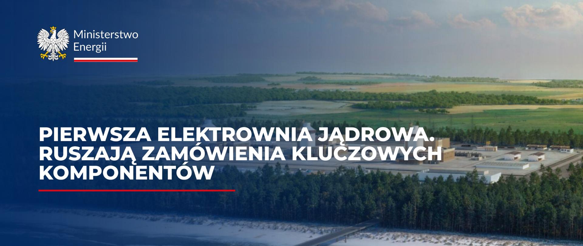 grafika: Pierwsza Elektorwnia Jądrowa. RUszają zamówienia kluczowych komponentów