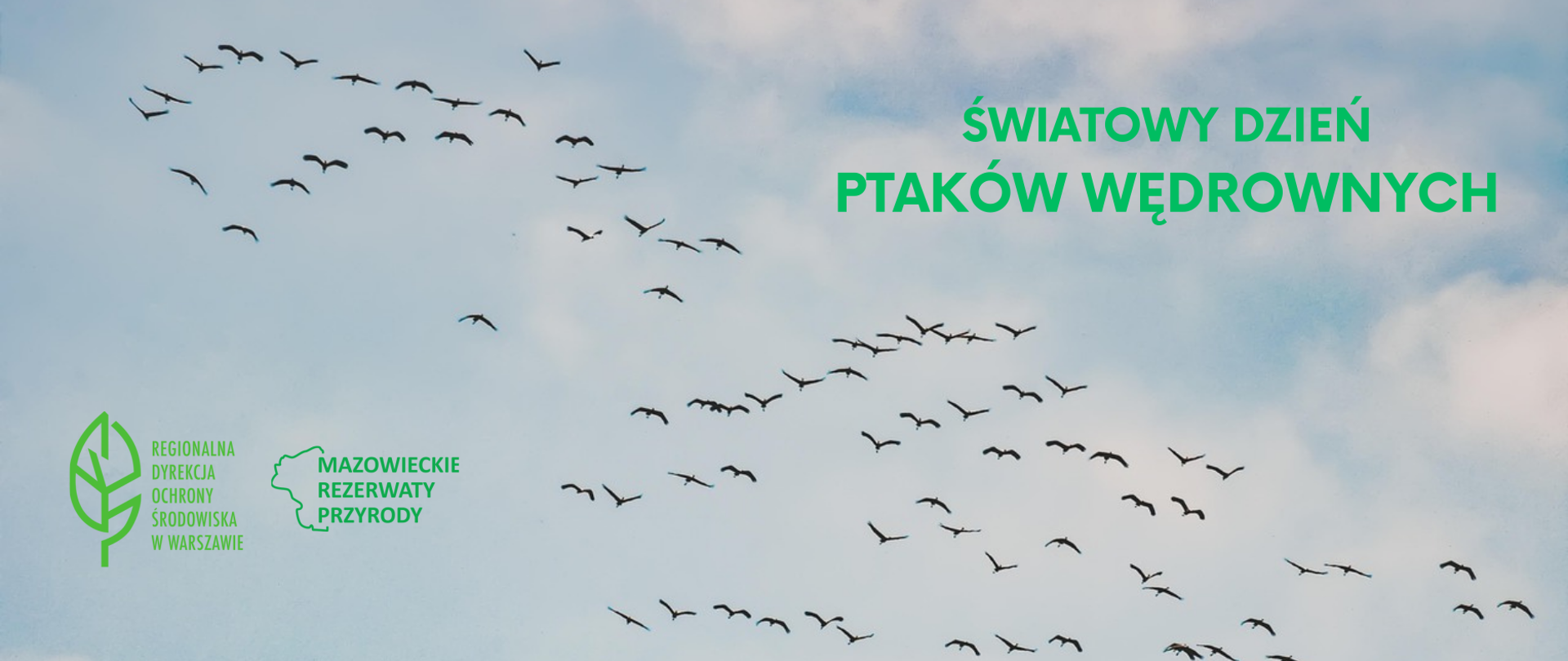 Ptaki lecące w kluczu na tle nieba 