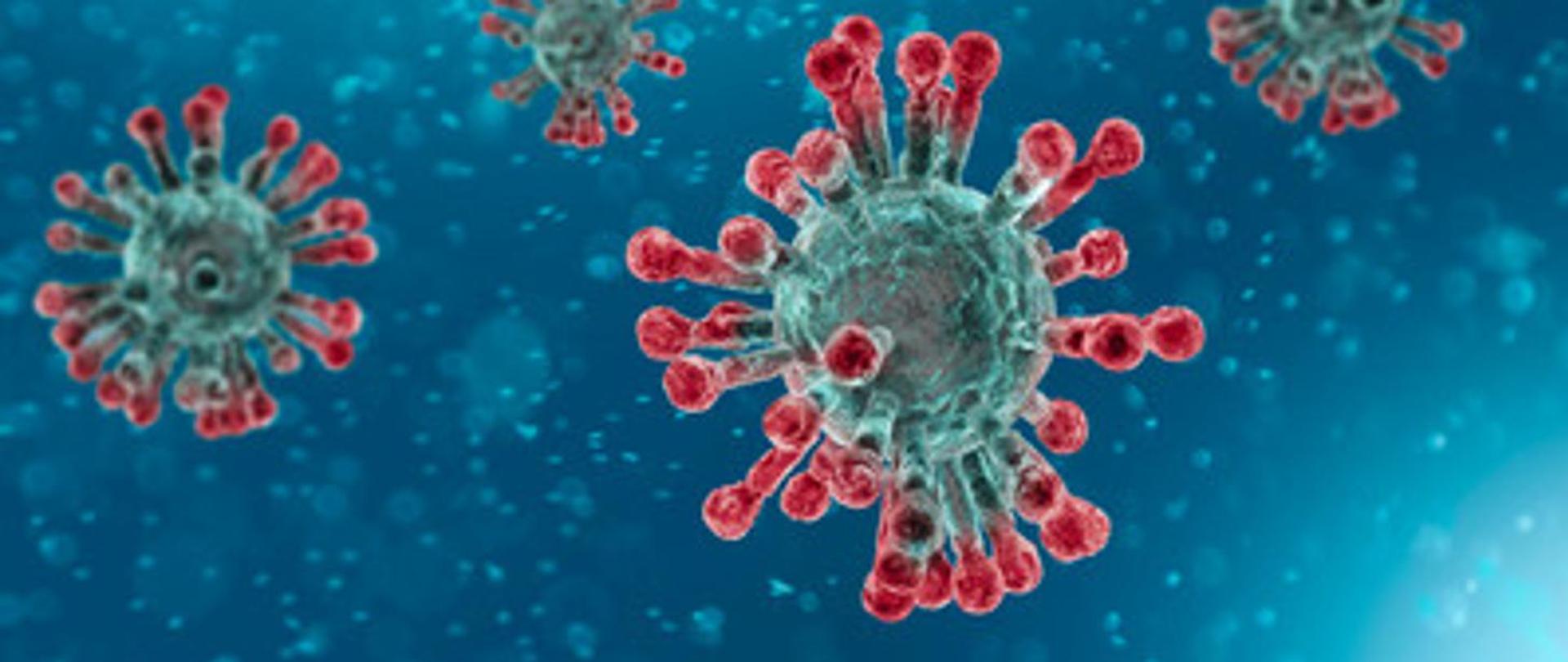 Koronawirus