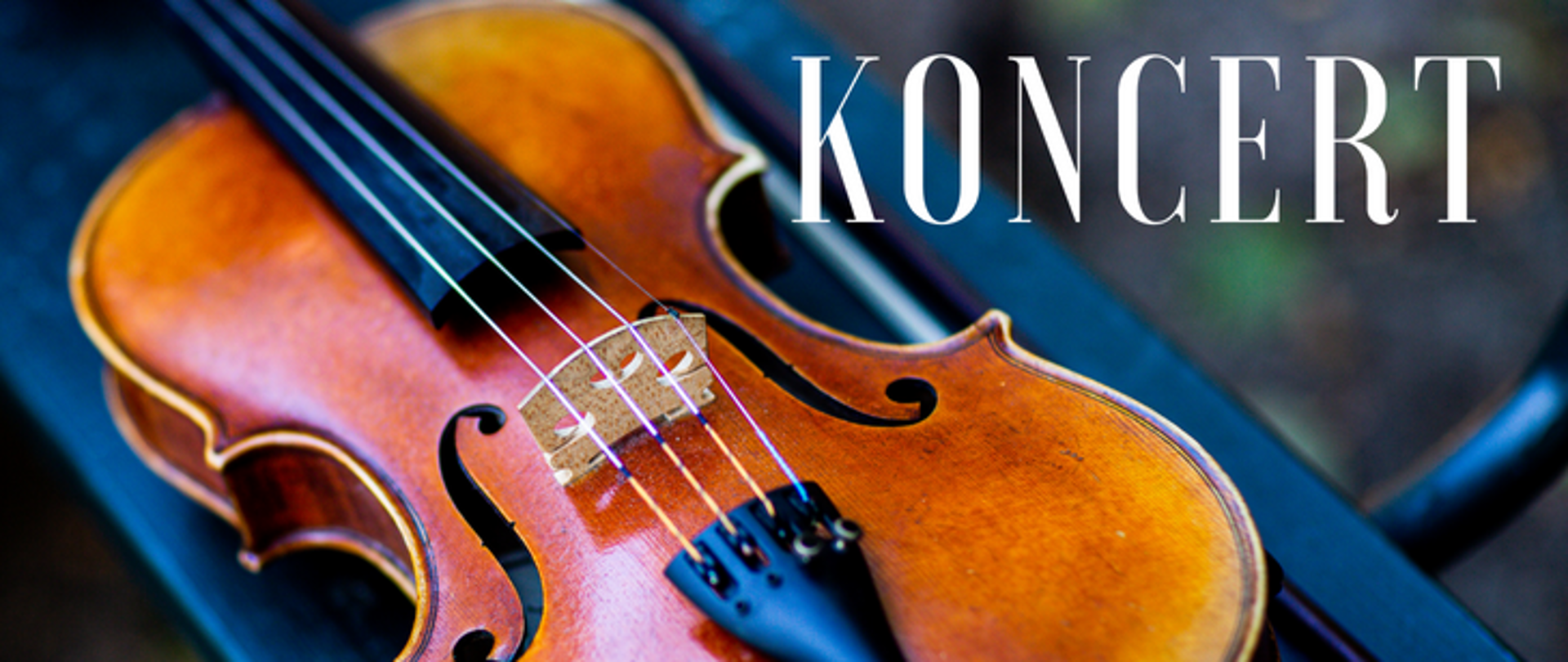 Baner koncert skrzypcowy