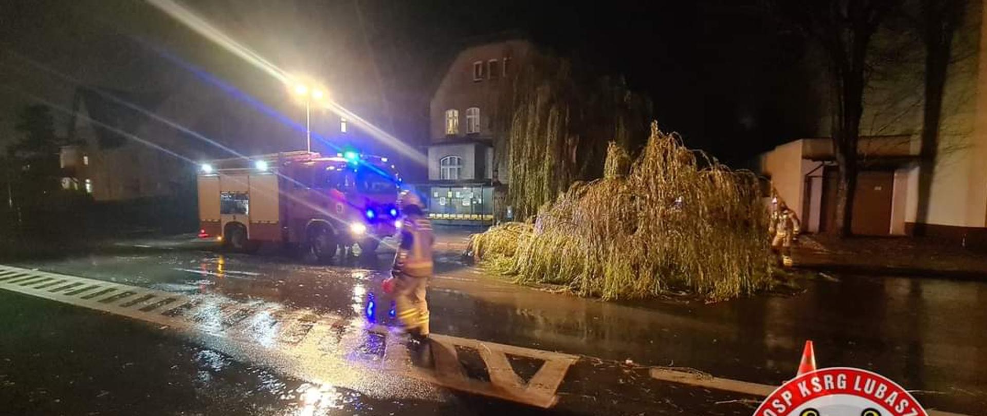 Strażacy w nocy usuwają drzewo leżące na jezdni
