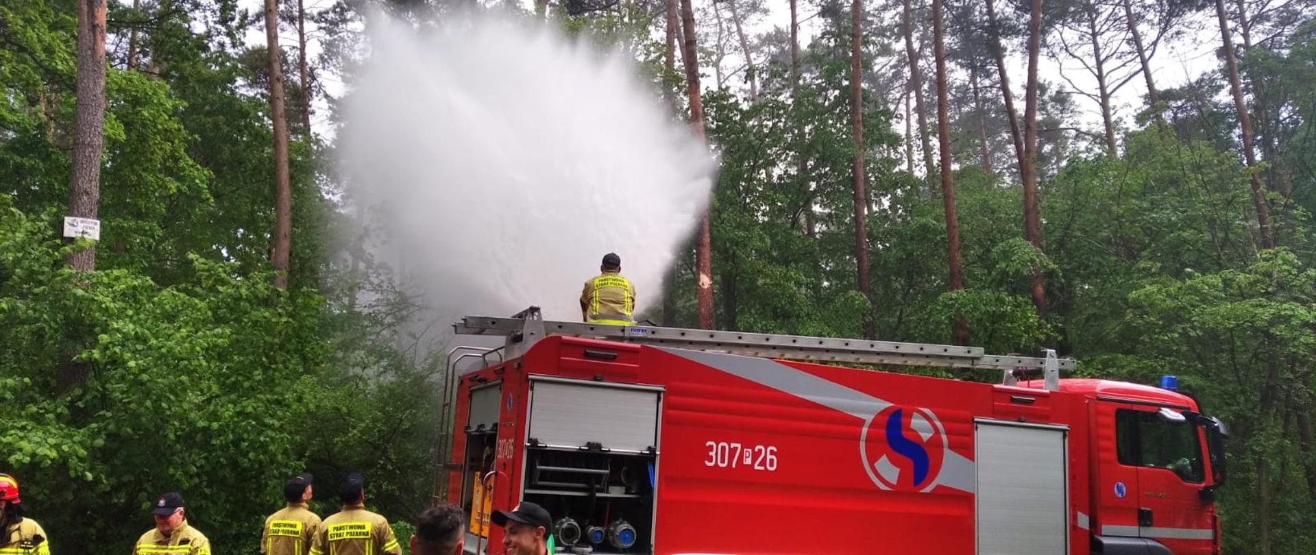 Ćwiczenia na obszarach leśnych