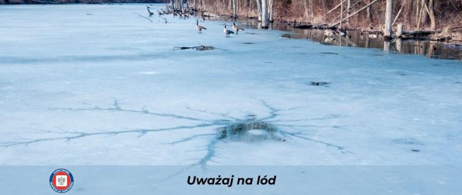 Fotografia przedstawia akwen wody pokryty lodem. Prawdopodobnie jest to jezioro ponieważ w tle widać brzeg i rosnące na nim drzewa. W oddali widać dzikie kaczki chodzące po lodzie. Na środku fotografii widać bardzo duże pęknięcie na lodzie. W lewym dolnym rogu zdjęcia znajduje się okrągłe logo Państwowej Inspekcji Sanitarnej przedstawiające czarnego orła na białym kwadratowym tle, które otoczone jest czerwonym wypełnieniem. Zewnętrzną część logo otacza granatowy okrąg z napisem Państwowa Inspekcja Sanitarna w kolorze białym. Na samym dole widnieje czarny napis uważaj na lód.