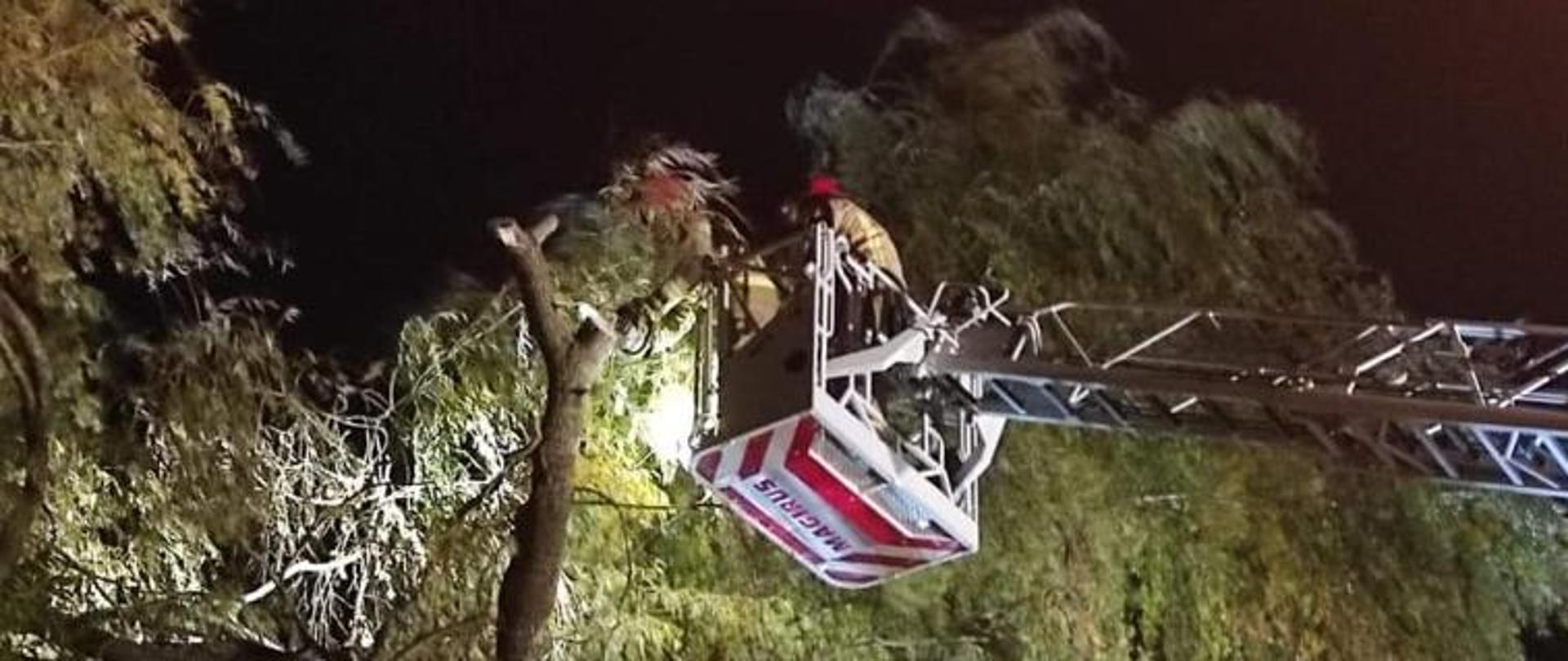 na zdjęciu połamane drzewo oraz drabina ze strażakiem w koszu który usuwa skutki nawałnicy