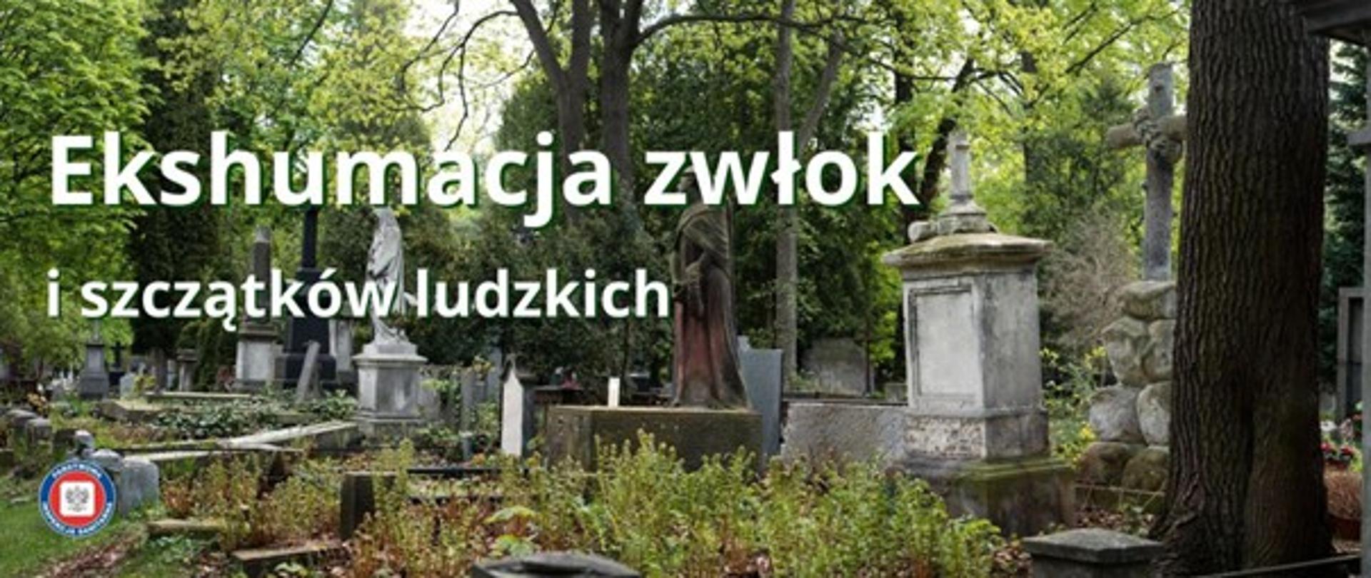 Ekshumacja zwłok i szczątków ludzkich