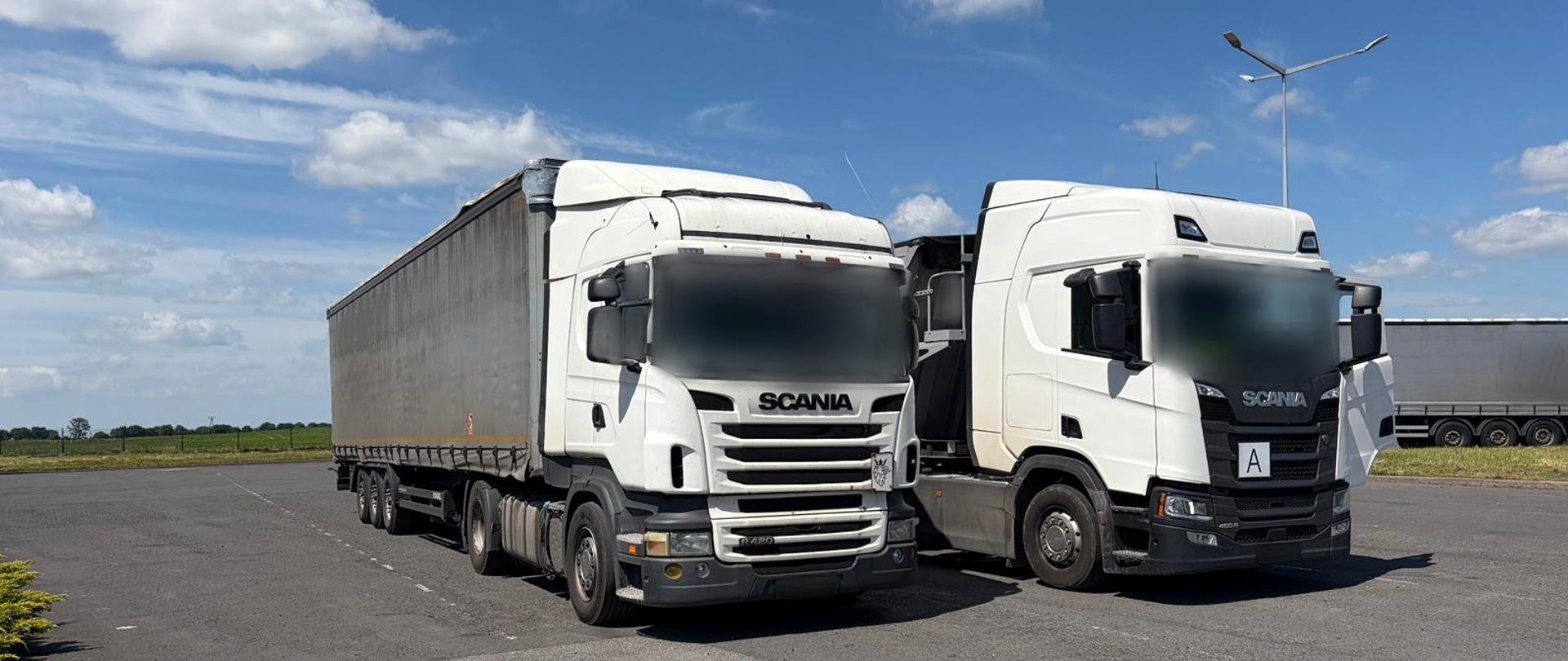 Dwa białe ciągniki siodłowe marki Scania stoją obok siebie na rozległym parkingu. Jeden z nich jest połączony z naczepą kurtynową. Nad pojazdami rozciąga się błękitne niebo z rozproszonymi chmurami.