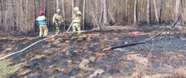 Pożar poszycia leśnego w Wawrowicach