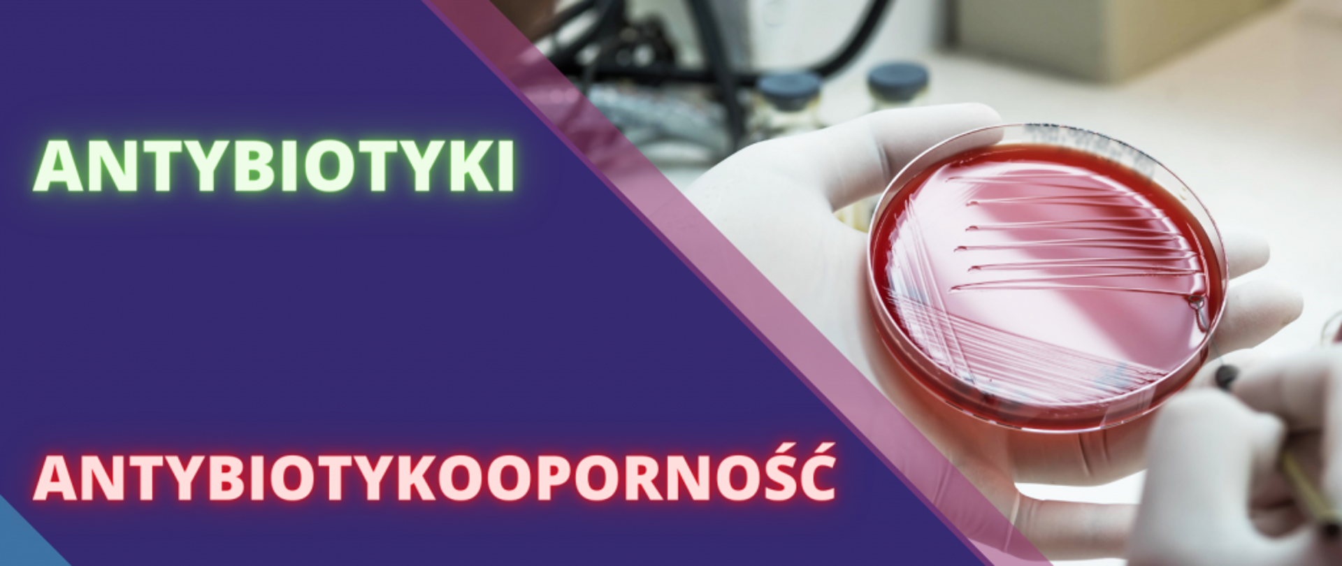 Antybiotykooporność oraz 75. rocznica powstania WHO