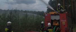 Zdjęcie przedstawia strażaków podających wodę z działka samochodu strażackiego na palący się las. Ponadto na zdjęciu widać zbiornik wodny. 