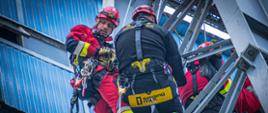 Strażacy z grup wysokościowych ćwiczą na obiekcie wysokościowym, używając lin i technik wysokościowych do ewakuacji człowieka.