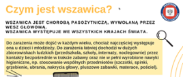 Czym jest wszawica?