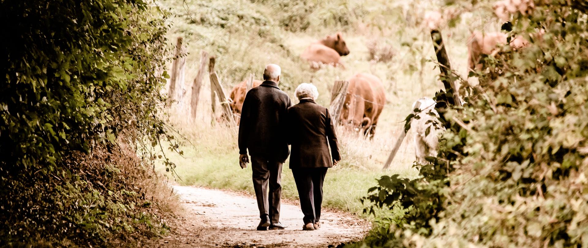 Zdjęcie przedstawia mężczyznę i kobietę w wieku senioralnym, spacerujących wiejska drogą, wśród zieleni, obok pastwisk