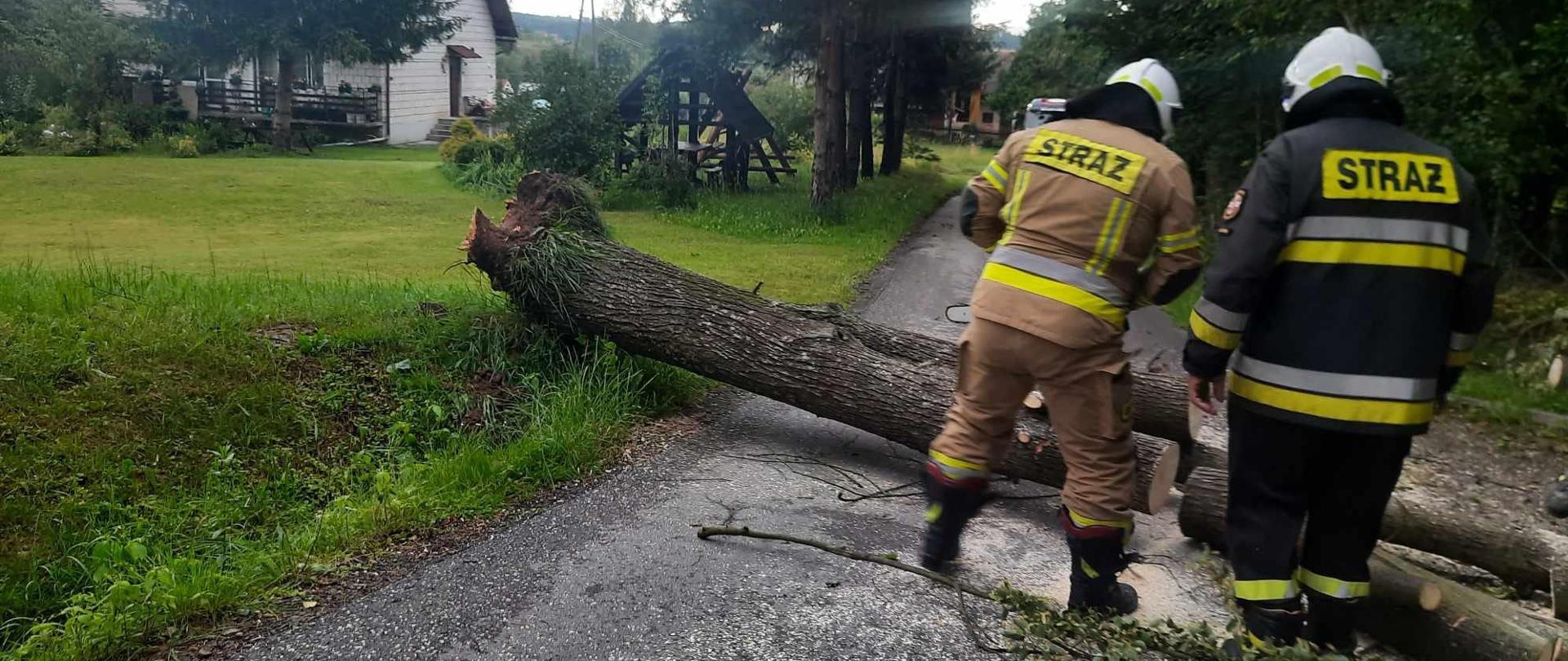 Zdjęcie przedstawia powalone drzewo na skutek silnych wiatrów. Na zdjęciu na jezdni widać przewrócone drzewo na jezdnię. Przed drzewem stoi dwóch strażaków ubranych w ubrania specjalne i hełmy. Strażacy usuwają powalone drzewo. po lewej stronie widać biały budynek mieszkalny. 