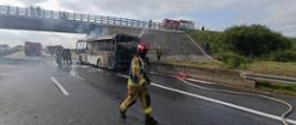 Koniec akcji gaszenia pożaru autokaru na autostradzie A4 koło Brzegu. Ogień strawił praktycznie cały pojazd. Strażacy dogaszają autobus.