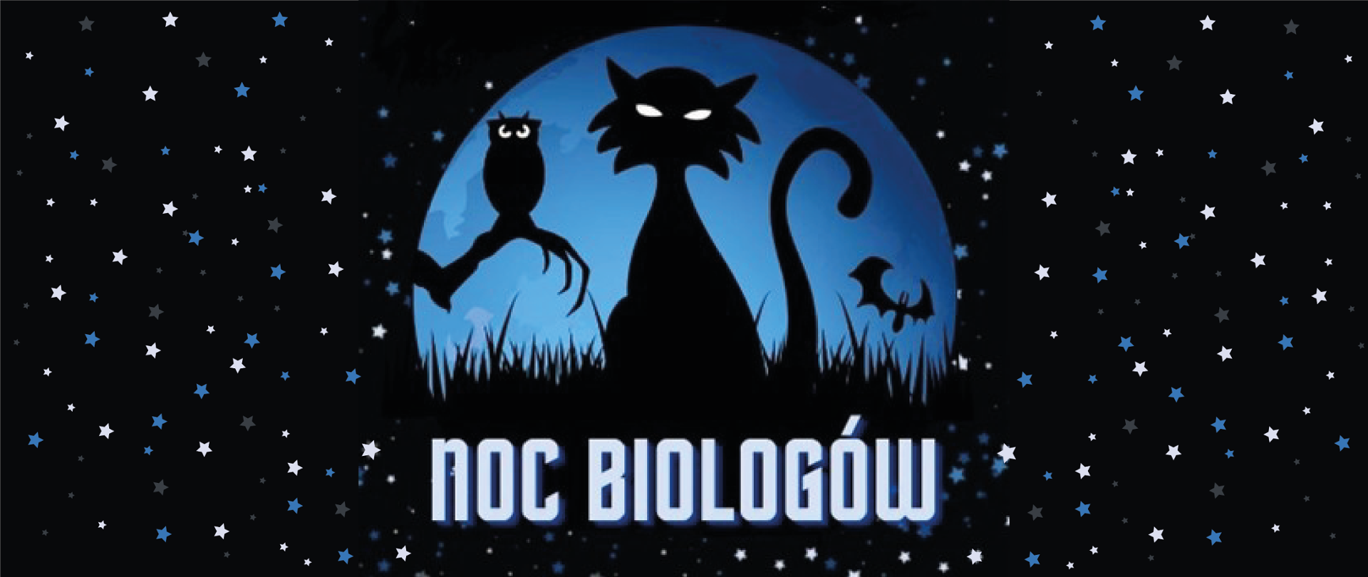 Na zdjęciu znajduje się czarny kot oraz czarna sowa na niebieskim tle