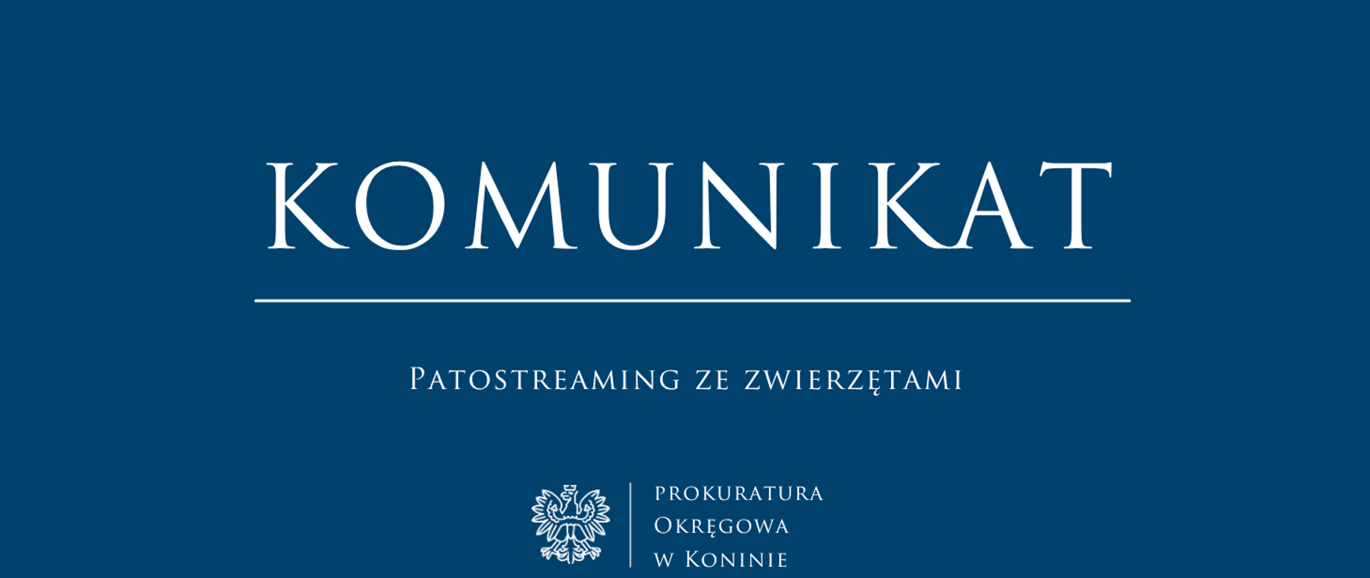 PATOSTREAMING ZE ZWIERZĘTAMI