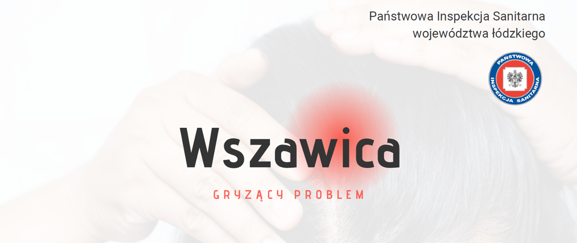 wszawica_avatar