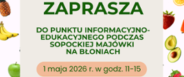 Majówka na Błoniach2