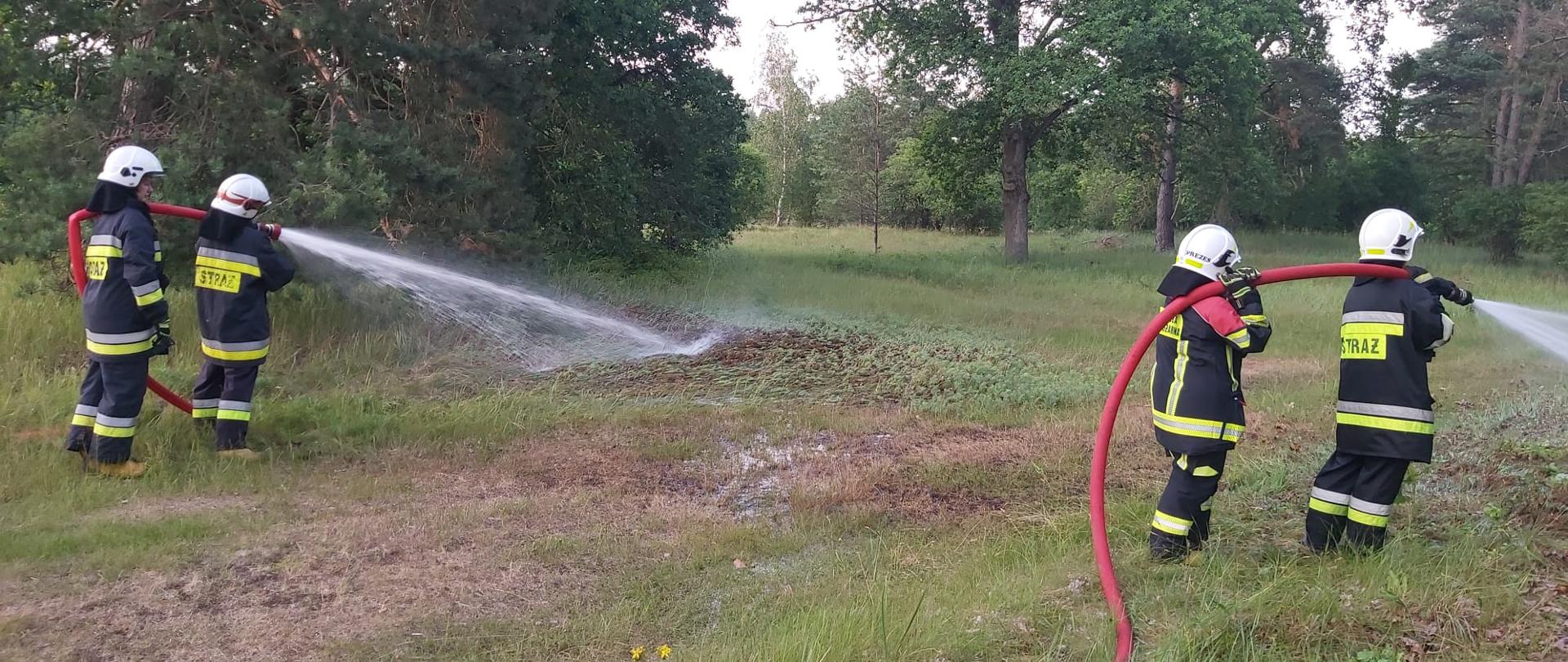 Na zdjęciu dwie roty podające prądy wody w związku z ćwiczeniami na obszarach leśnych 