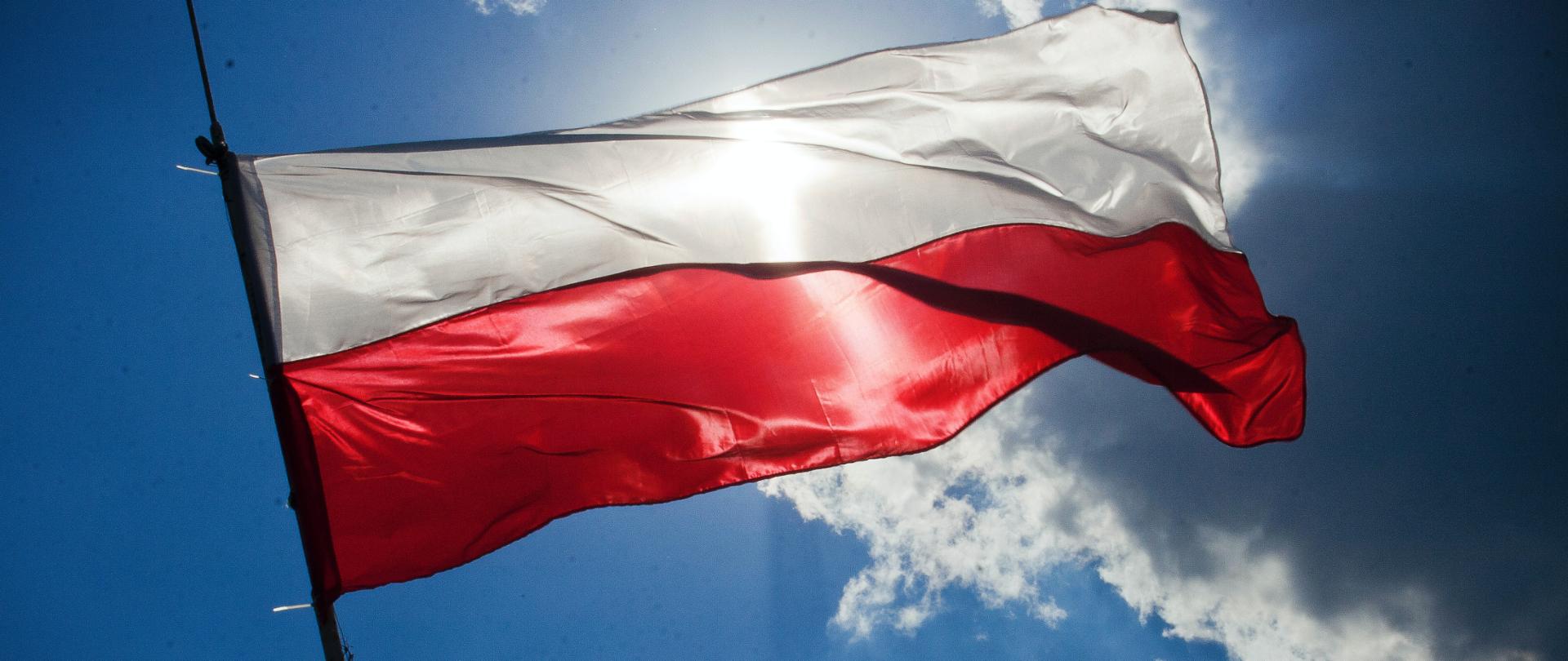 Dołącz do kampanii „Pod biało-czerwoną” - Cyfryzacja KPRM - Portal Gov.pl