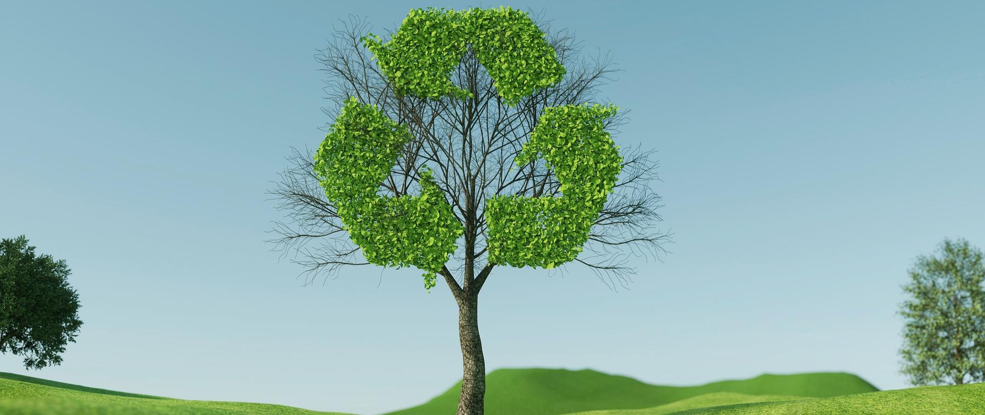 grafika przedstawia drzewo w koronie którego z liści jest utworzony symbol recyklingu