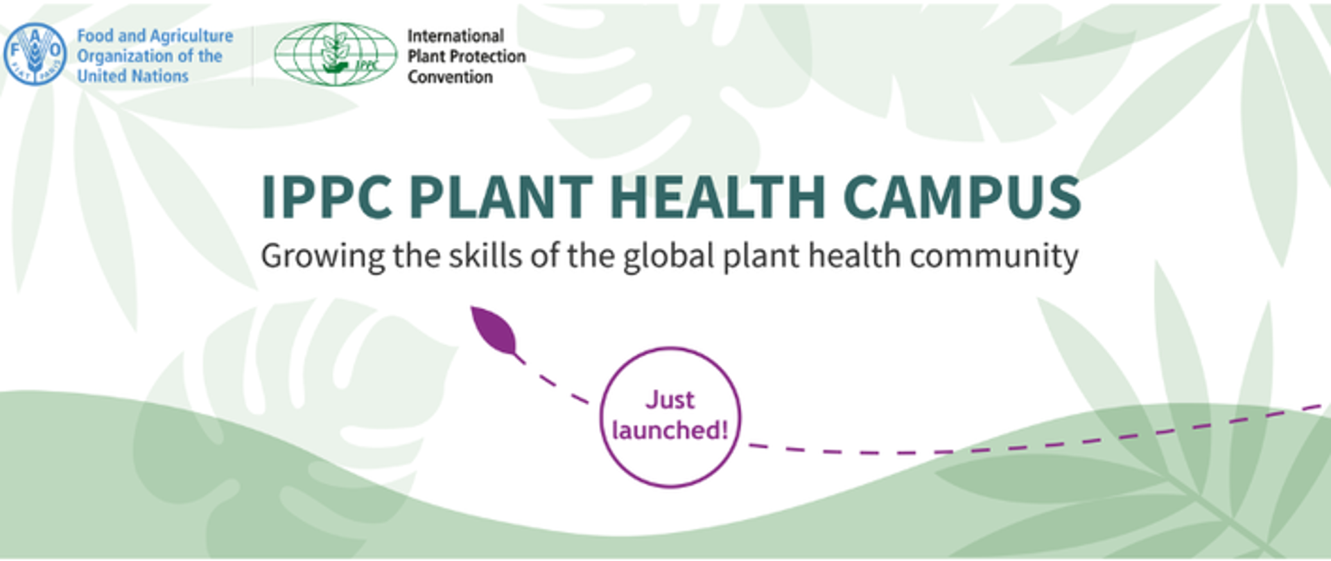 Zdjęcie przedstawiające baner bezpłatnej platformy IPPC