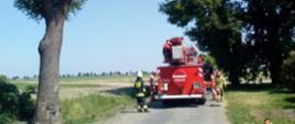 Droga gminna. Na niej samochód strażacki z podnośnikiem hydraulicznym, widoczny od tyłu. Obok pojazdu trzech strażaków. Z lewej strony drogi na poboczu rośnie drzewo.