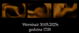 Zdjęcia przedstawiające ludzkie ucho. Wernisaż 30.05.2025 godzina 17.00
