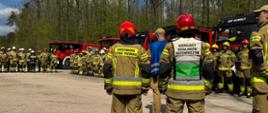 Na drugim ujęciu przedstawiono większą grupę strażaków ustawionych w szeregu na leśnym placu. Wszyscy są ubrani w ochronne stroje i kaski, a przed nimi stoją dwie osoby dowodzące akcją – ich kamizelki mają widoczne napisy wskazujące funkcje kierownicze. Za nimi zaparkowane są wozy strażackie. Scena wygląda na odprawę lub organizację działań ratowniczych.