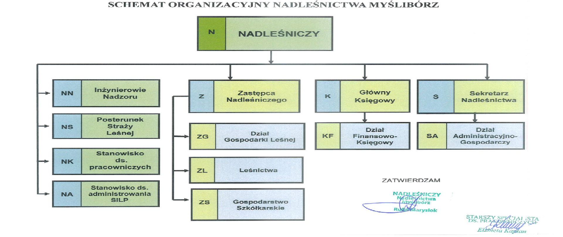 Schemat organizacyjny Nadleśnictwa Myślibórz 2026