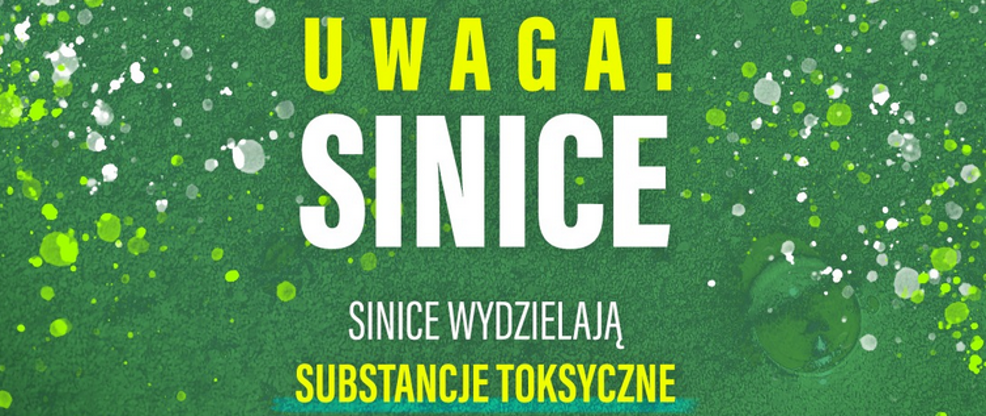 prostokątne zielonkawe tło z napisami: 'uwaga sinice, wydzielają substancje toksyczne dla ludzi i zwierząt'