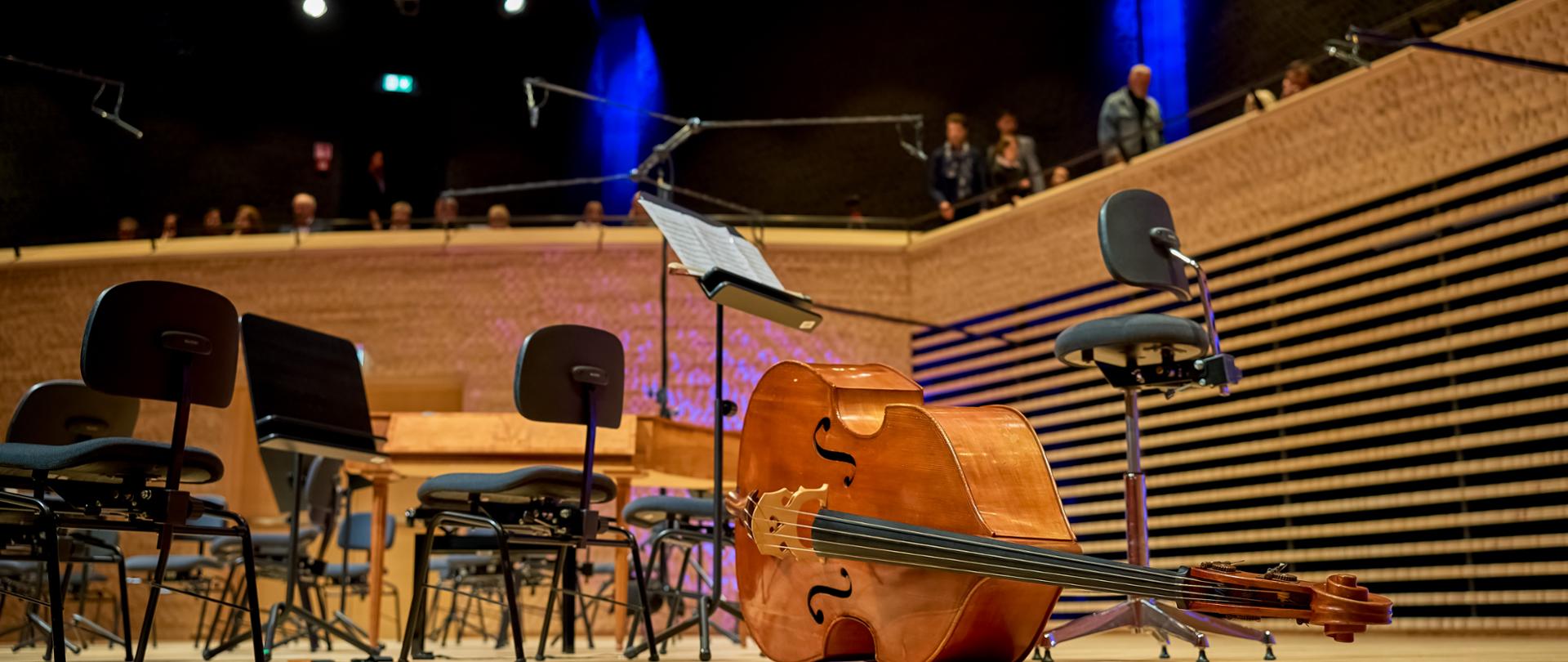 Eastgate Youth Orchestra ‘2025