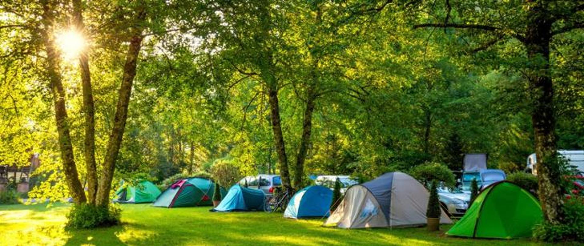 Obozowisko namiotów w lesie