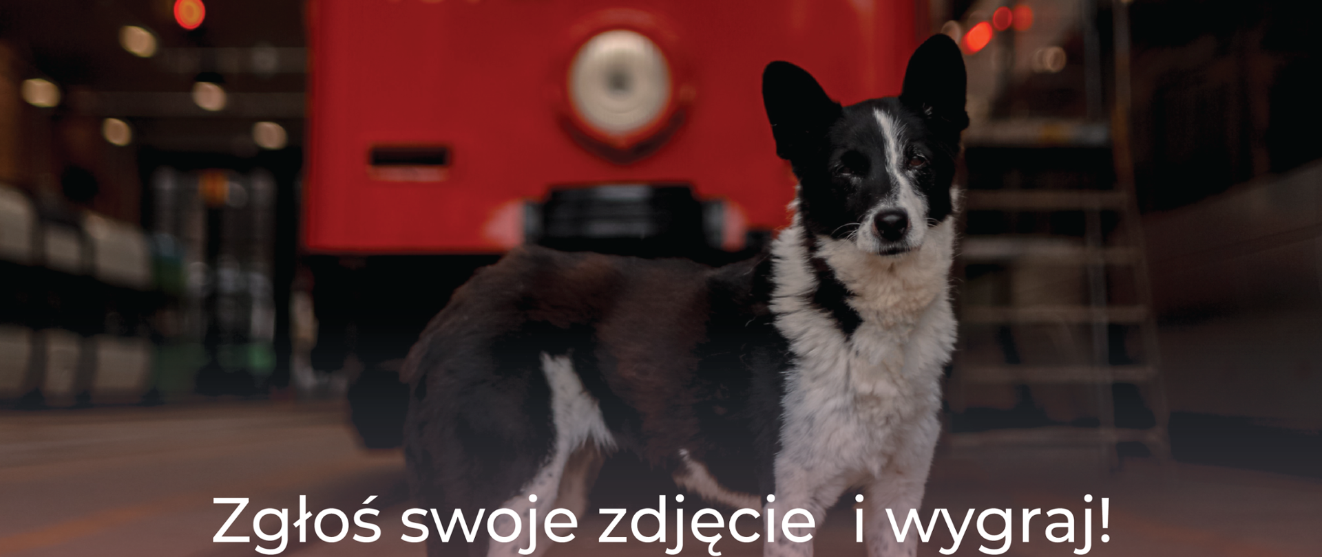 Zgłoś swoje zdjęcie i wygraj!