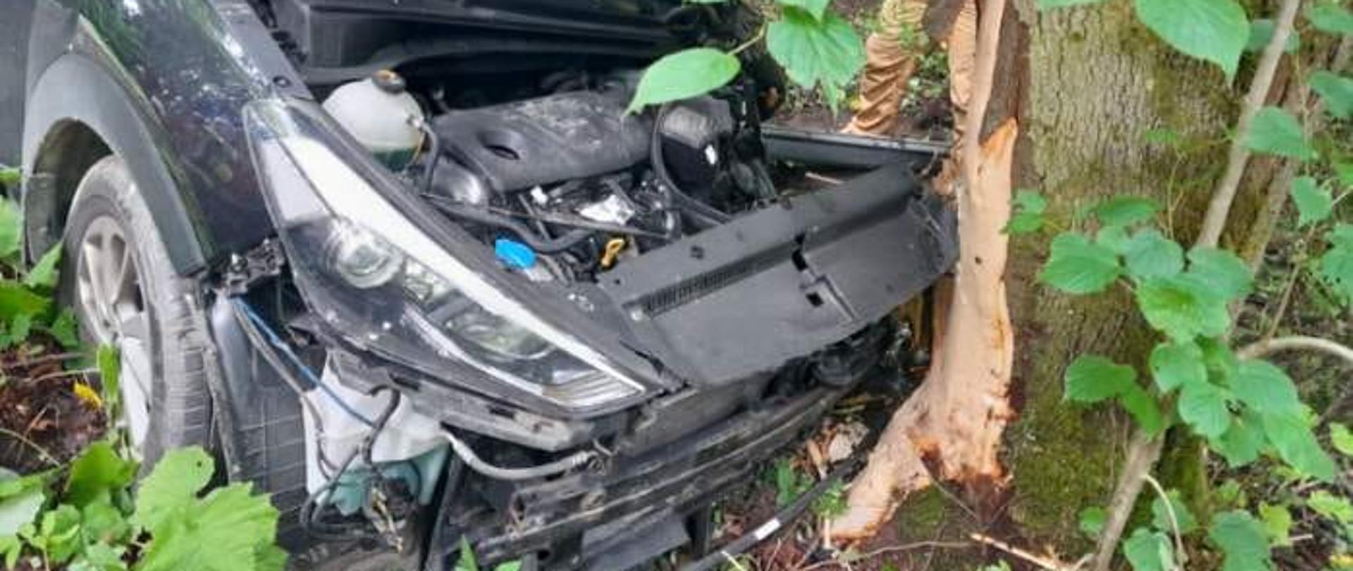 Przód samochodu po uderzeniu w drzewo