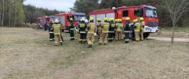 Strażacy w hełmach prowadzą naradę operacyjną obok samochodów ratowniczo-gaśniczych na terenie ćwiczeń leśnych