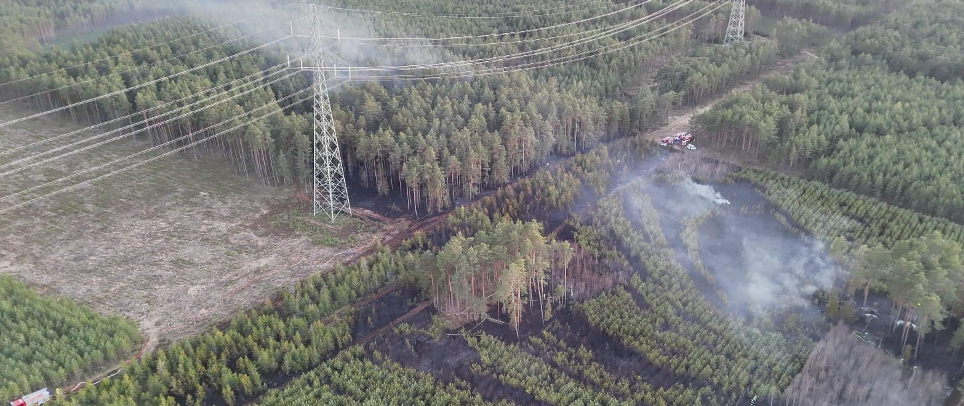 Widok z lotu ptaka na teren zalesiony objęty pożarem. Na zdjęciu widać obszary wypalonej, ciemnej ziemi oraz pasy zielonego lasu. Przez środek terenu przebiega linia wysokiego napięcia. W kilku miejscach widoczny jest dym unoszący się znad drzew. Na skraju lasu zaparkowane są wozy strażackie, a strażacy prowadzą działania gaśnicze wzdłuż linii ognia.