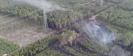 Widok z lotu ptaka na teren zalesiony objęty pożarem. Na zdjęciu widać obszary wypalonej, ciemnej ziemi oraz pasy zielonego lasu. Przez środek terenu przebiega linia wysokiego napięcia. W kilku miejscach widoczny jest dym unoszący się znad drzew. Na skraju lasu zaparkowane są wozy strażackie, a strażacy prowadzą działania gaśnicze wzdłuż linii ognia.