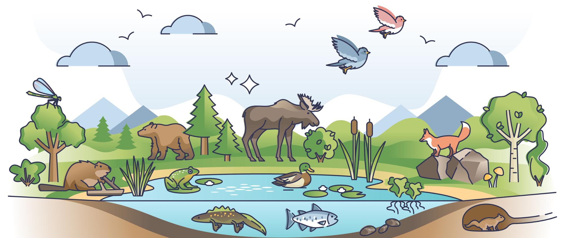 Ecosystem as nature habitat for living organisms and animals outline concept. Ecological environment with various species and sustainable biosphere vector illustration. Wildlife vegetation scene.