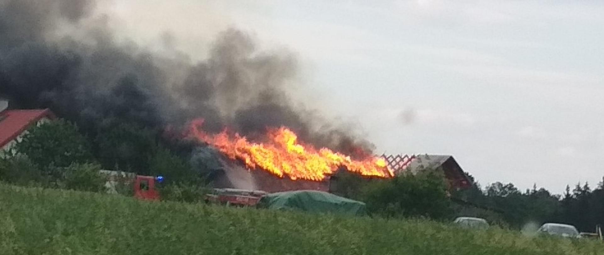 Zdjęcie przedstawia pożar obiektów gospodarczych oraz inwentarskiego widziany z pojazdu pożarniczego w momencie dojazdu do miejsca zdarzenia
