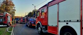 Widać kilka samochodów strażackich na drodze