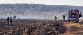 Strażacy dogaszający pożar nieużytkowanych powierzchni rolniczych w Brodach, Samochód pożarniczy 