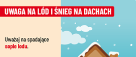 Śnieg na dachach