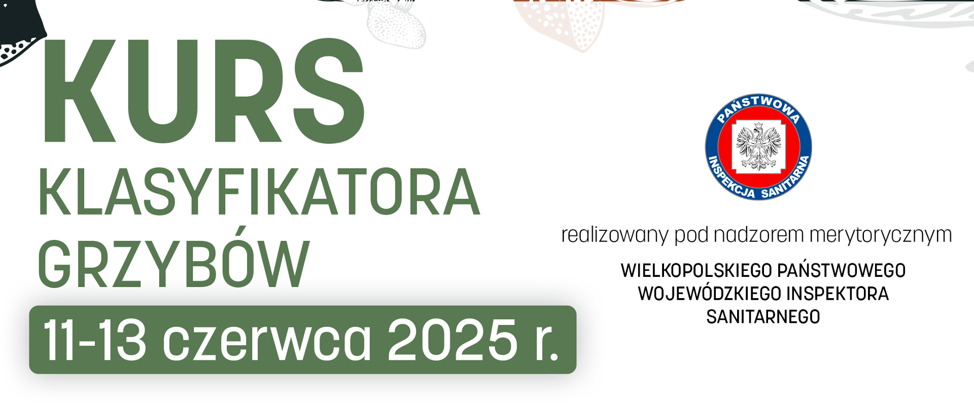 Plakat - grafika który zawiera dane na temat naboru na klasyfikatora grzybów.