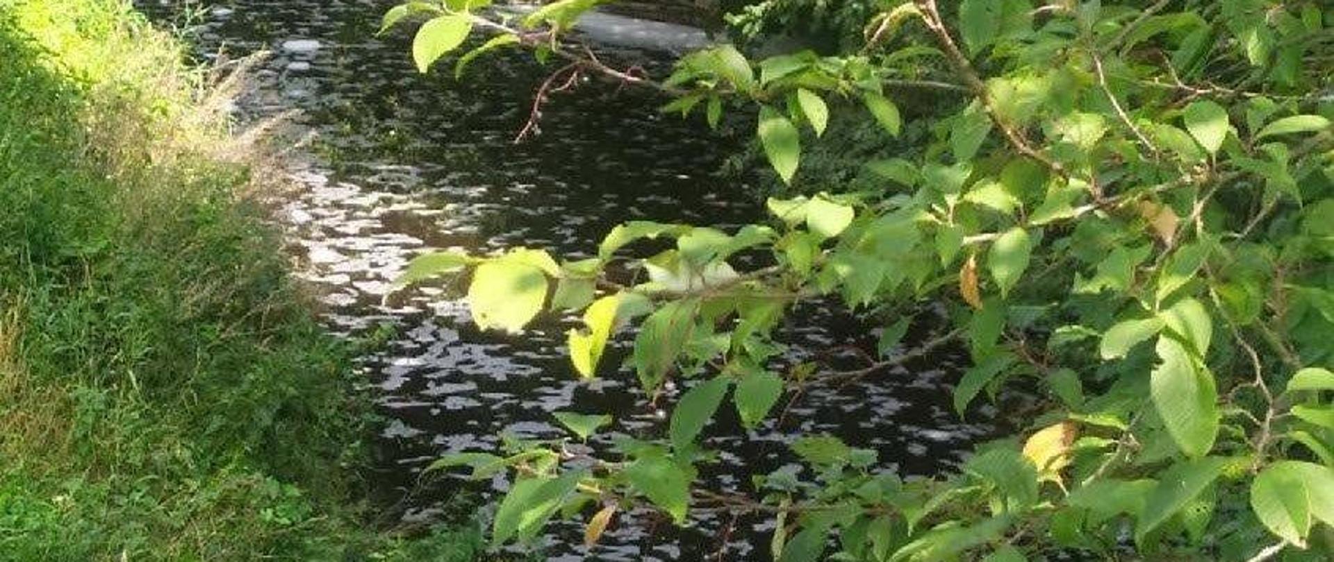 Rzeka Lubatówka. Na powierzchni wody widoczna piana gaśnicza. 