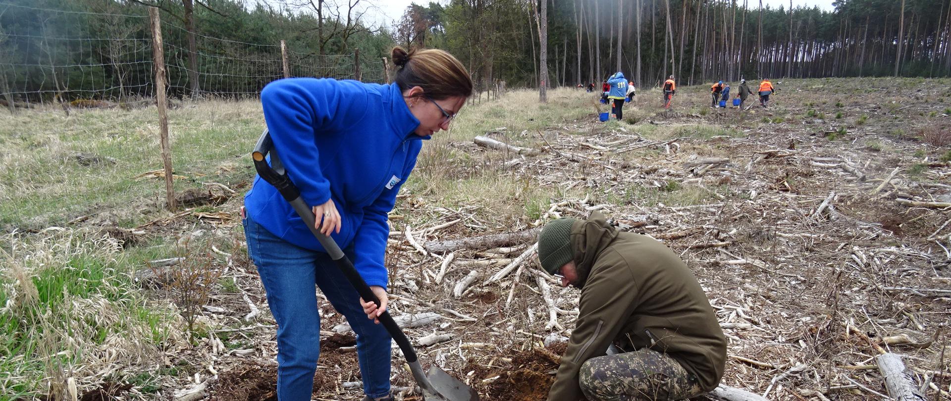 Akcja sadzenia drzew na terenie Nadzoru Wodnego w Sławie.