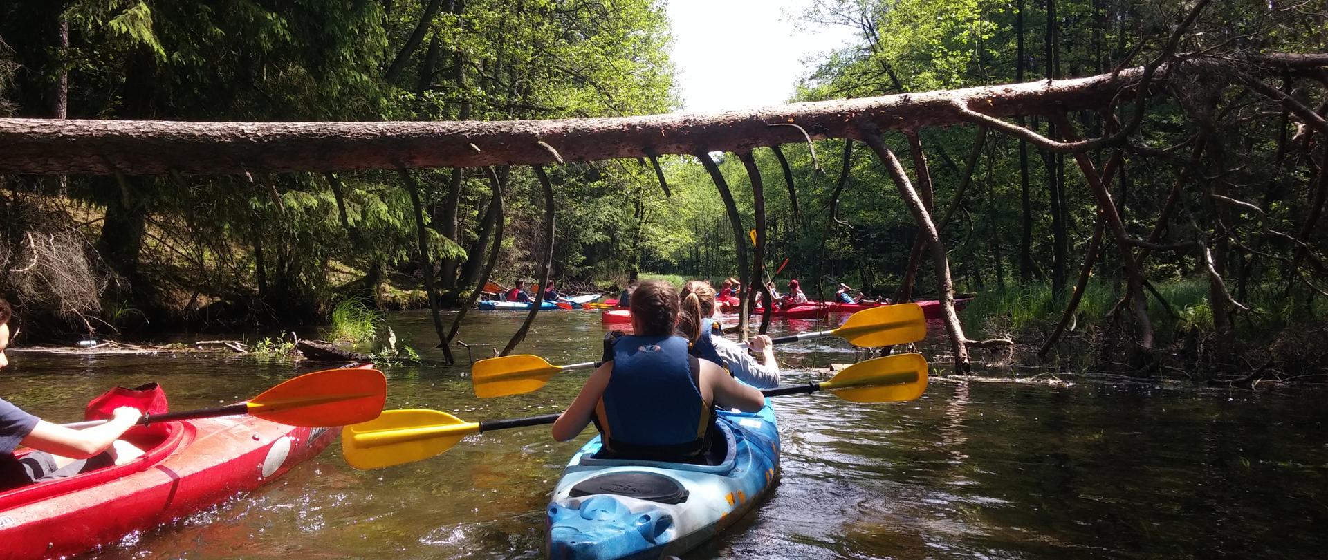 Lato. Spływ kajakowy rzeką płynącą przez las. W błękitnym kajaku dwie dziewczynki w kapokach, trzymające w rękach żółte wiosła. Obok płynie drugi czerwony kajak. W oddali pozostała grupa kajakarzy. Nad rzeką leży powalona sosna, pod która muszą płynąć kajaki.